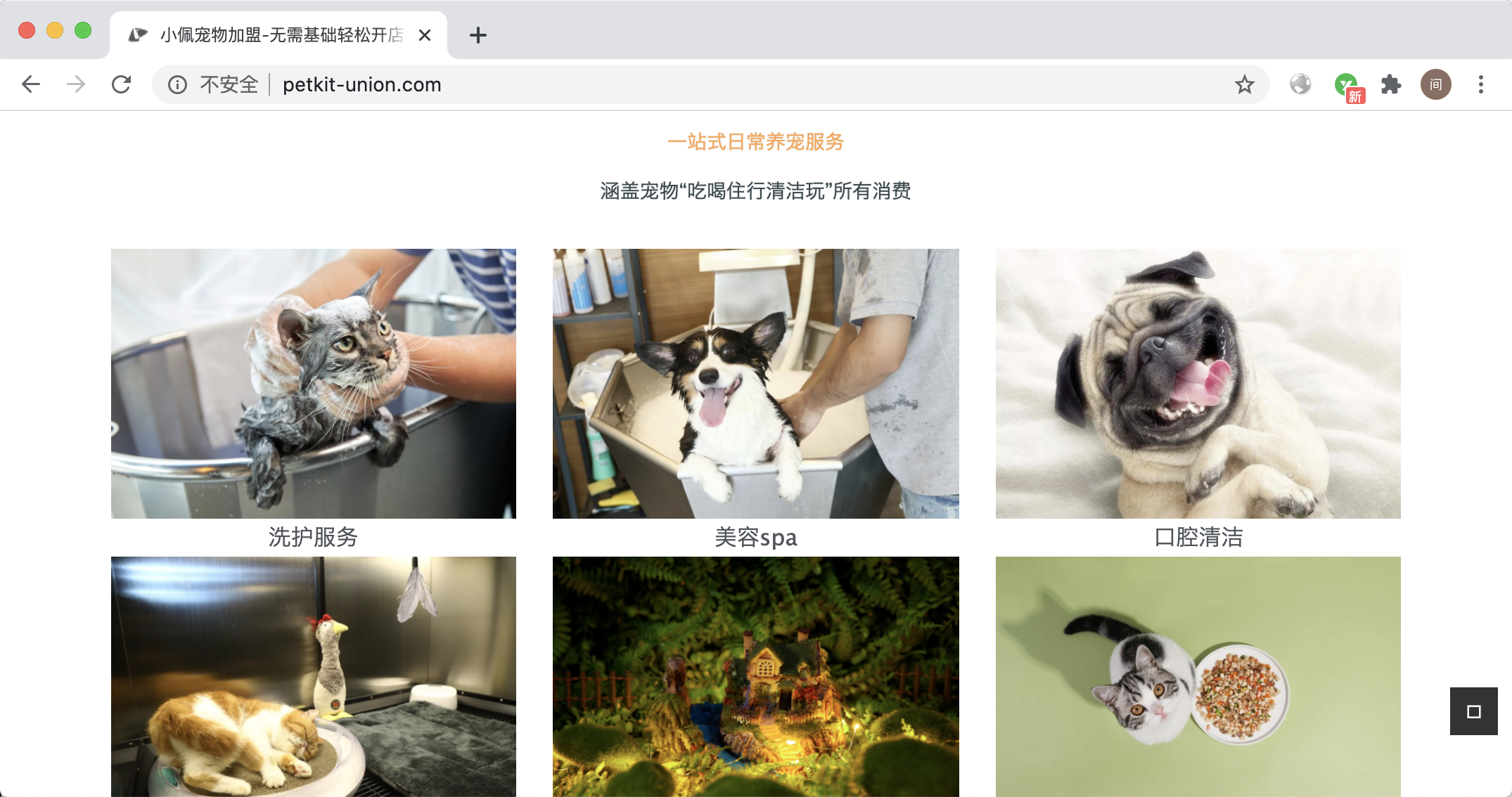Baklib客户故事：小佩宠物 Balib站点