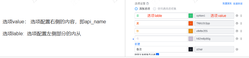 选项默认值配置示例