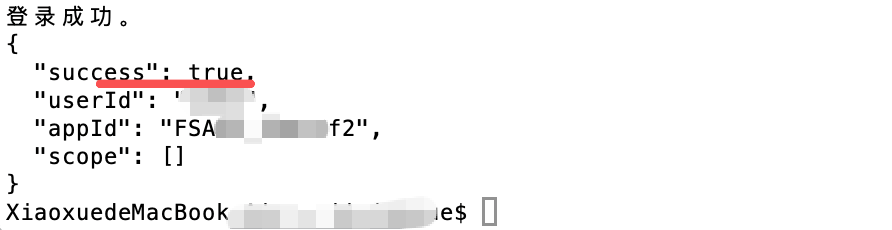 终端显示登录授权成功